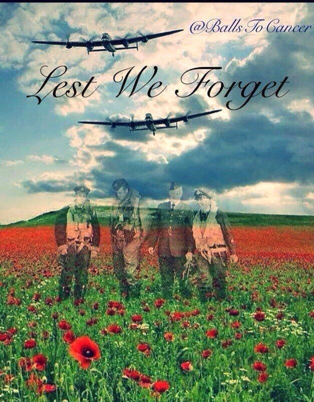 At the going down of the sun and in the morning, We will remember ...