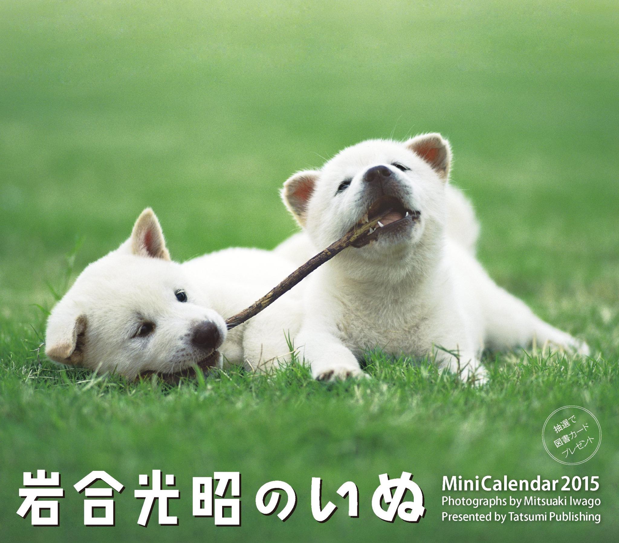 猫びより ミニカレンダー 岩合光昭のいぬ は 柴犬 チワワ コーギーなど人気の犬種が勢ぞろいの卓上カレンダー 表紙は紀州犬です Http T Co S0mosbuznh Http T Co W8ov0u2hc8 Twitter 猫びより ミニカレンダー 岩合光昭のいぬ は 柴犬 チワワ コーギーなど人気の犬種が勢ぞろいの卓上カレンダー 表紙は紀州犬です Http T Co S0mosbuznh Http T Co W8ov0u2hc8 Twitter