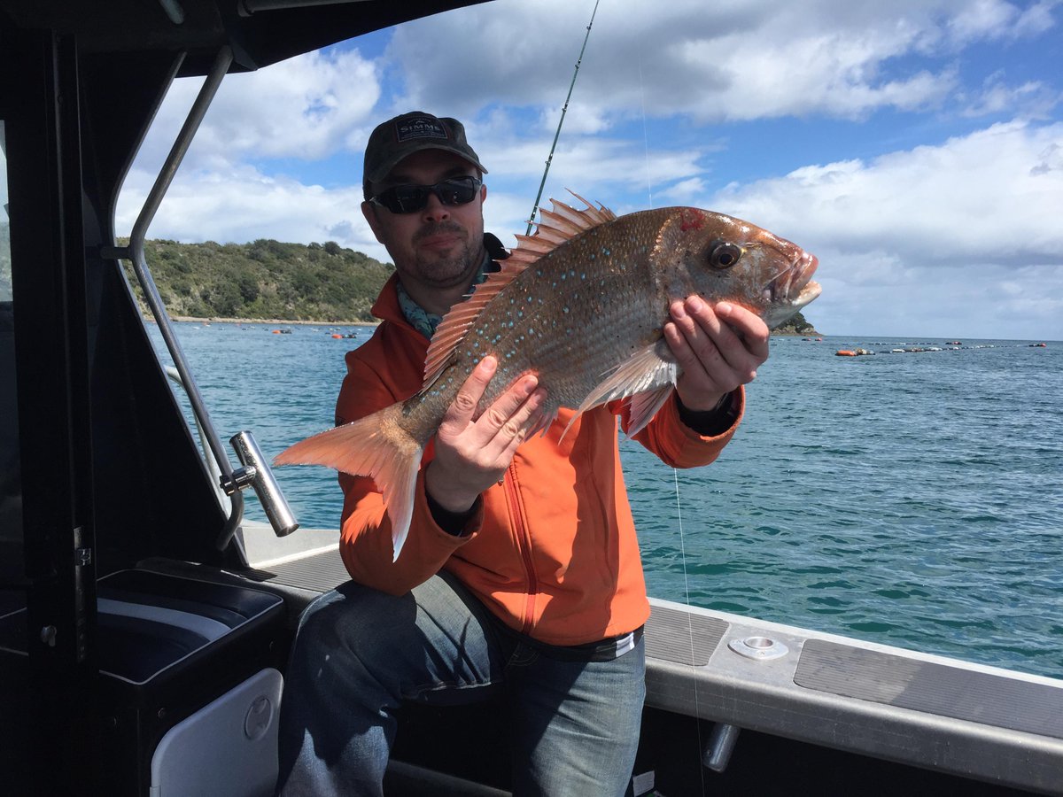 HookMad's tweet photo. Great Snapper fishing trip today! Love the Coromandel, NZ - A few photos http://t.co/GPC5rBNGIb  #hookmad #fishingpic http://t.co/nCjFDTsDdb