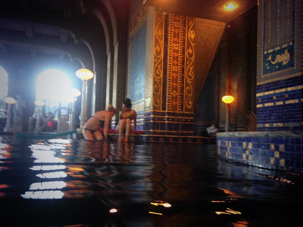 I may or may not have swam w some breezies at the crib today. #pimpin #onepercent