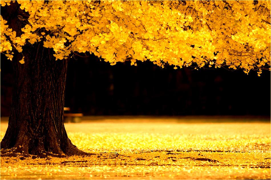 어딘가 떠나고 싶었으나 
떠나지 못한 나날들에 대한 
모든 기억을 삭제하고 
처음받는 새 공책을 펼치듯 
하얗게 시작하고 
싶어지는 날이 있다.

#요요나