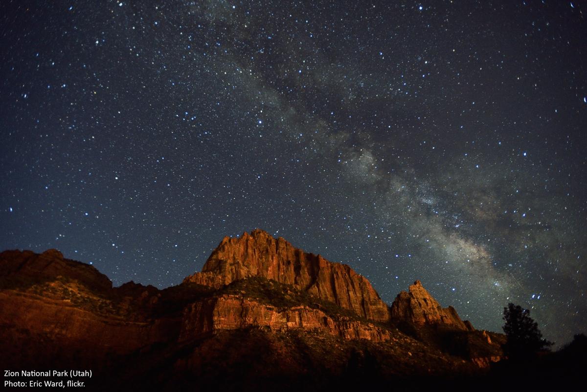 Wallpaper Zion National Park mountains starry night trees USA  1920x1200 HD Picture Image