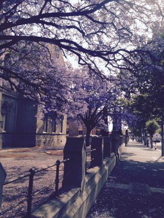 Besso05's tweet photo. Lovely time of the year on Adelaide http://t.co/l4Y639HXO9