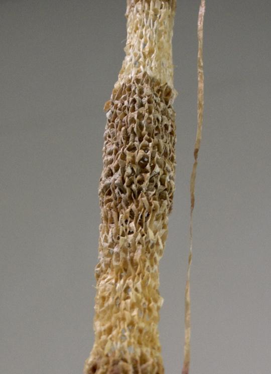Today Fri 7-last day for <a href="/OnInnards/">On Innards</a> Blyth Gallery. @MindyLee_artist @AndrewHladky. Come see and smell Entrail Troyen