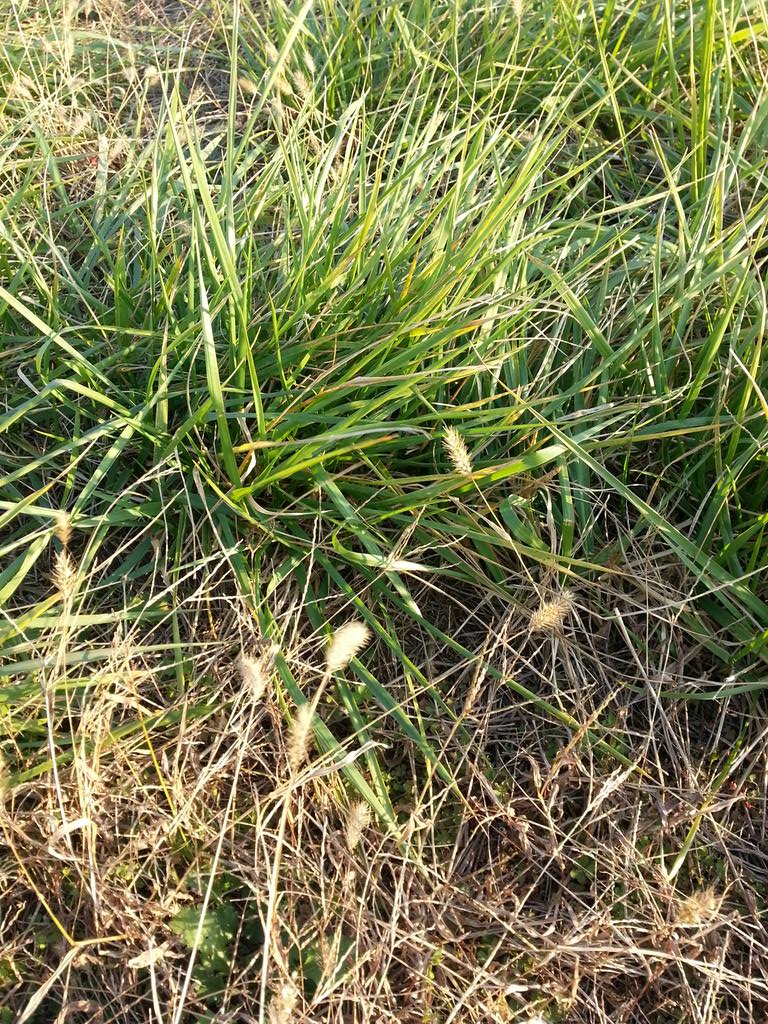 예당인 ill .u.t love (@art0man1) on Twitter photo 