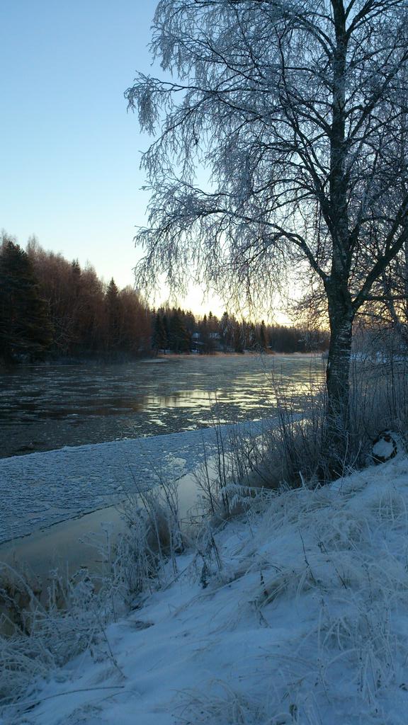 SannaAlalauri's tweet photo. There's frost and ice. Still waiting for the snow. #winter #lappland http://t.co/A05LKErlev