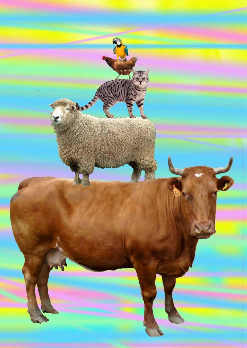 himynameisaimee's tweet photo. #animalpyramid http://t.co/iASwethGgZ