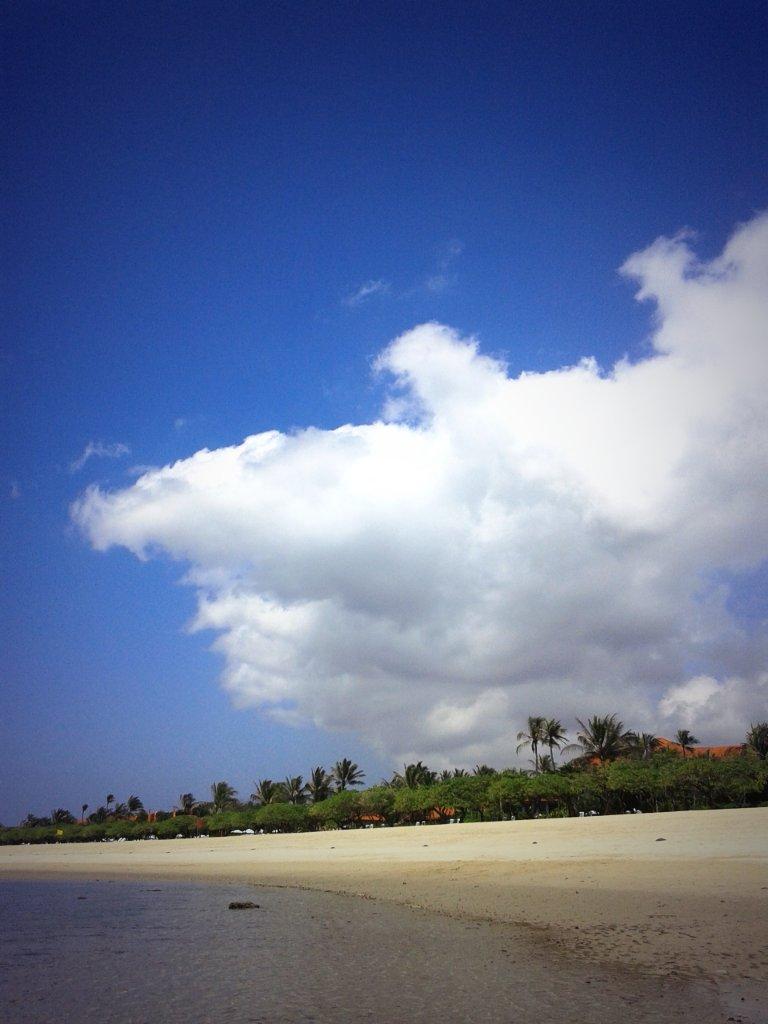 tinycircle_ tweet picture