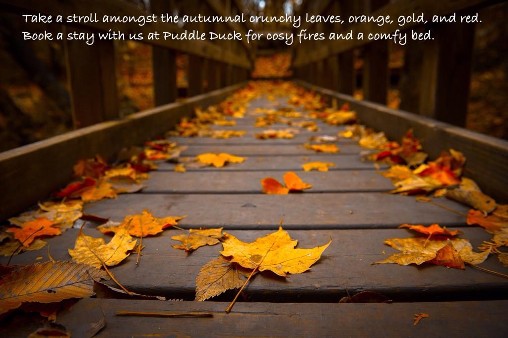 LAST MINUTE OFFER:
4 nights for the price of 3 only £270
Arrive Monday 17th November, to Friday 21st November