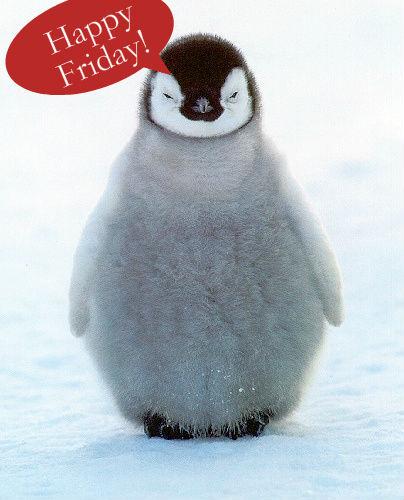 leohotelsukire's tweet photo. Happy #FreebieFriday all! RT for a chance to win a night away in any Jurys Inn! Cute penguin not included 😊 http://t.co/CBODE87blo