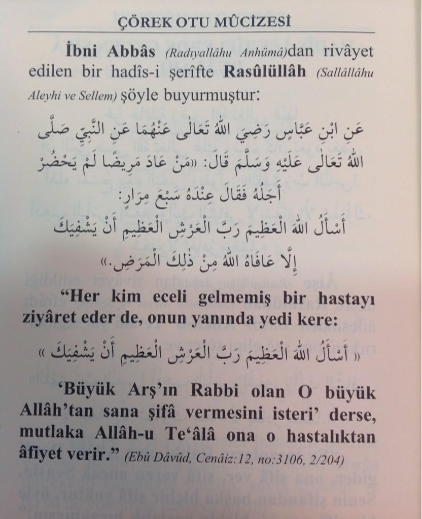 Lâlegül TV on Twitter "Cübbeli Ahmet Hoca Efendi �nin Perşembe akşamı
