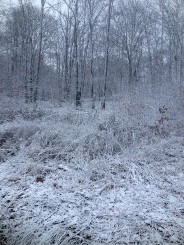 markclifford01's tweet photo. Gonna be a snowy day in the woods! #muzzytime #deerseason http://t.co/9QGaqIZSX5
