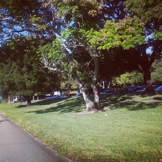 AdalbertoSldn's tweet image. #Viernes de Vigor, Verdadera dedicación,  Valor,  Velocidad #runmode Hoy hice mi mejor tiempo en 1 hora....No me ...