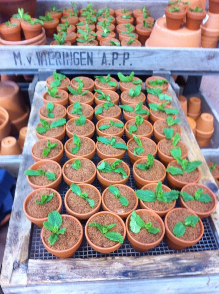 TrefzekerEvents tweet media