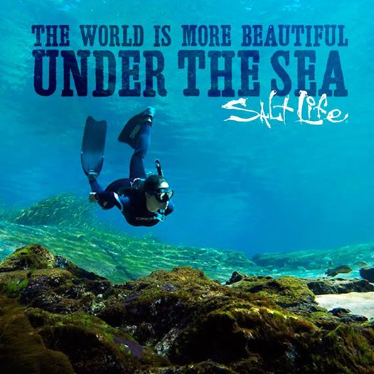 Truth. 
Share your underwater beauty with us. 
#WayoftheWaterman — with Fishing with Luiza.