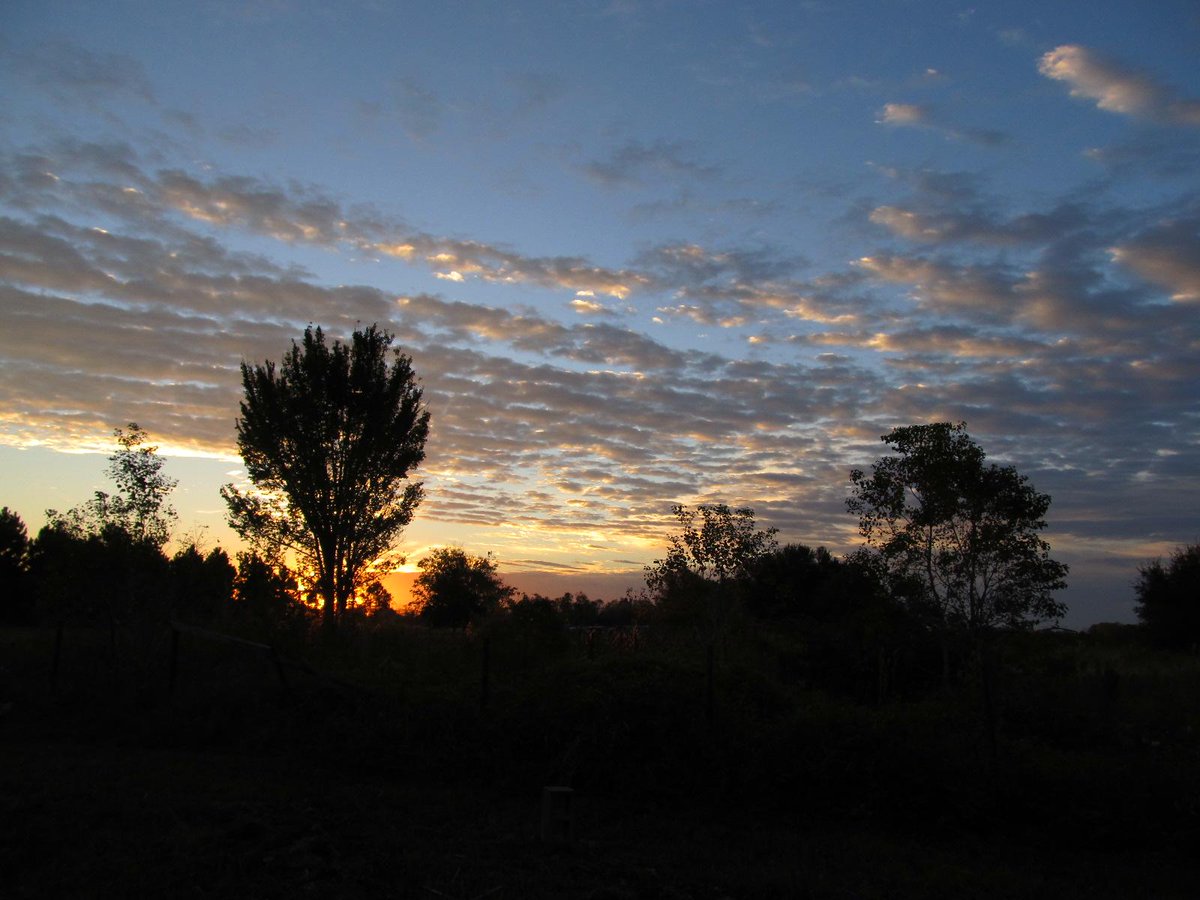 CoCreativeFarm's tweet image. Good morning. It's Friday y'all!