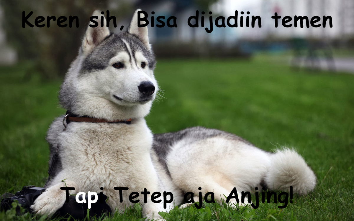 aparatcinta's tweet photo. Hehein aja! http://t.co/SnY2CE8uQK