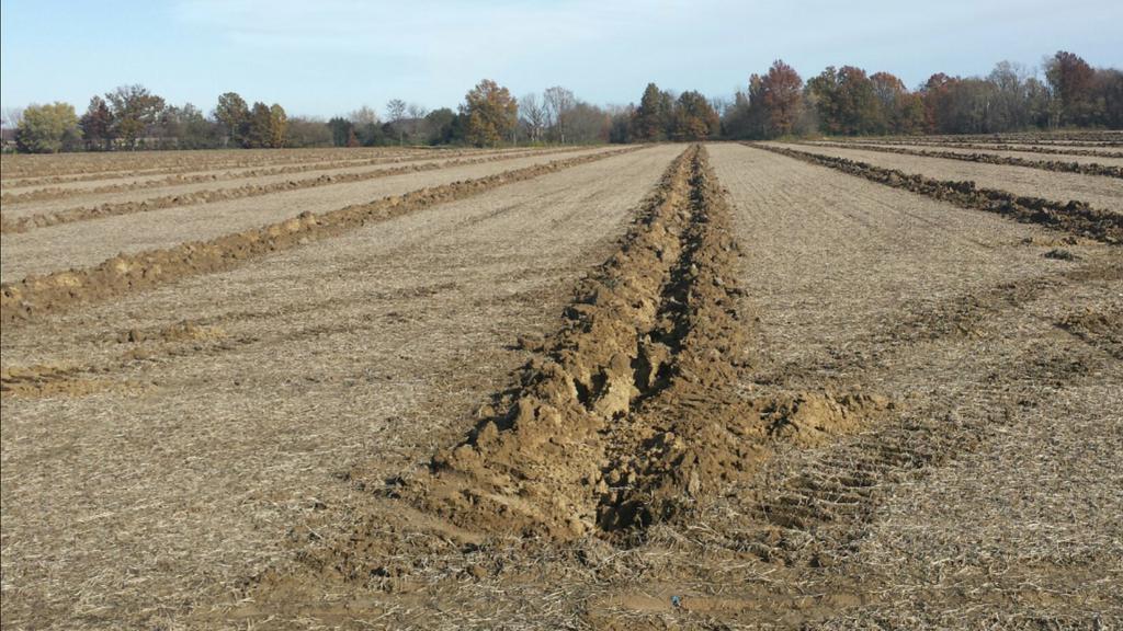 rastlinfan's tweet photo. Possibly the best thing a man can do to his farm #agtile #watermanagement #tile14#prinsco http://t.co/HRpgfZYkcs