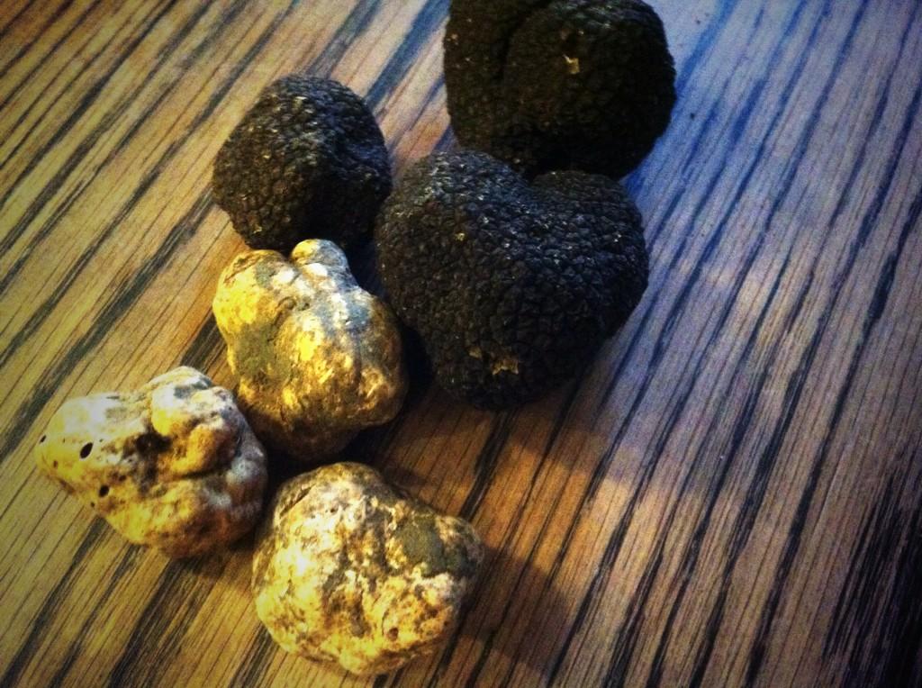 BiboRestaurant's tweet photo. O, chef, you're spoiling us! Truffles in the house! http://t.co/KjmBpzMTfU
