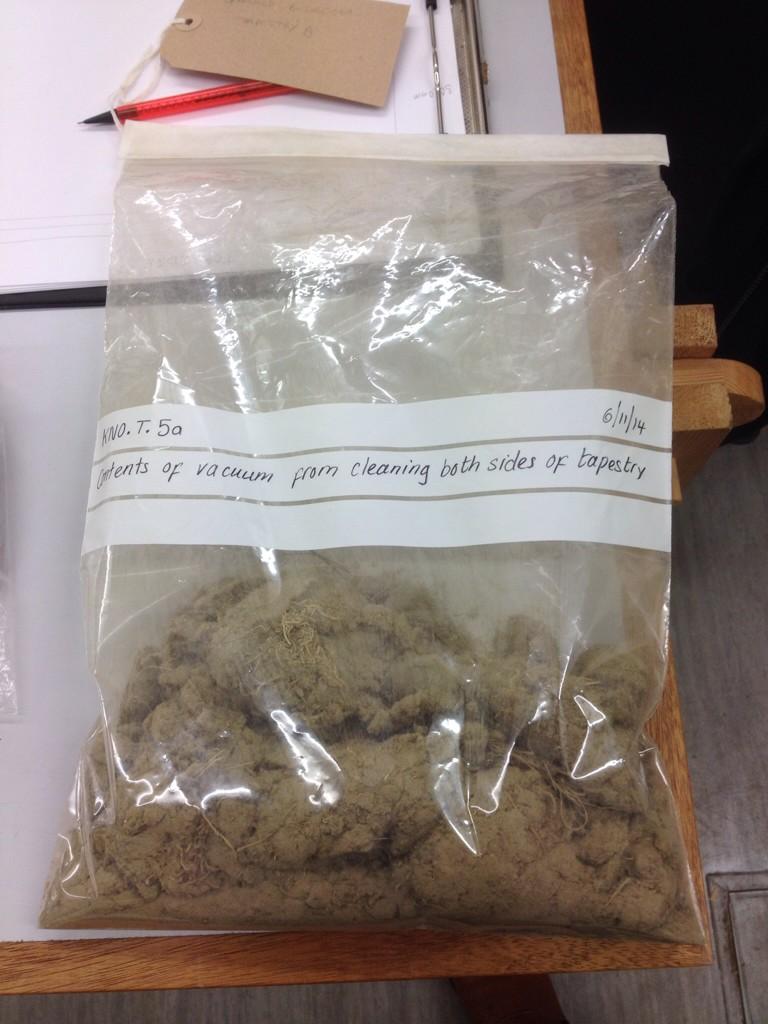 EmilyPrevCons's tweet photo. So this is what comes out a vacuum once you've cleaned both sides of a tapestry #tapestryproject http://t.co/znkvR861wJ