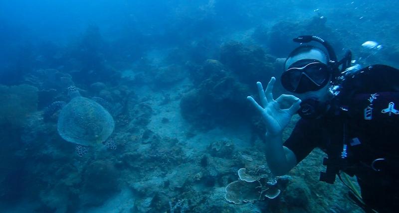 KompasTV's tweet photo. Seperti apa keindahan bawah laut Pulau Sepa? Nonton #FUNVENTURE pagi ini pkl 09.30 WIB http://t.co/icwgAc7TQn