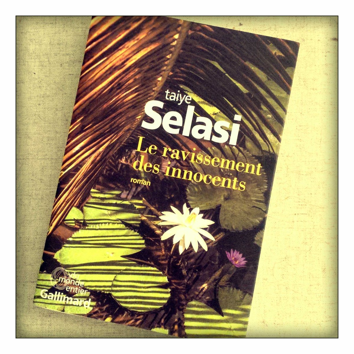 gwordia's tweet photo. Mailbox #1 : Le ravissement des innocents de Taiye Selasie @Gallimard #PremierRoman #RL2014 offert par @pcrassard http://t.co/NpV0MGHH11