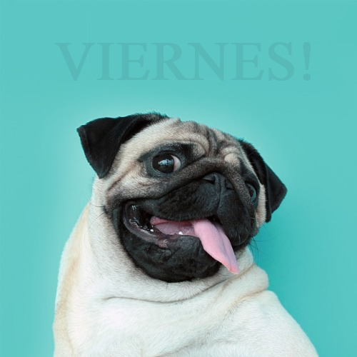 V I E R N E S !