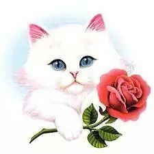 FCgbcg's tweet photo. Best wishes to our PM NAWAZ SHARIF http://t.co/lZkmRKH1ly