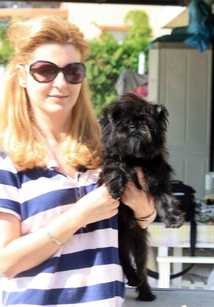 AFFKennel's tweet photo. π #Affenpinscher π #kennel π
#Affenpinschers #MonkeyDogs #Puppy #Dogs #Puppies #doglover #puppylove #DogShow #AKC http://t.co/g19cjCwM4j