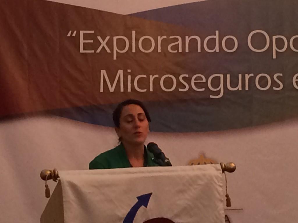 Sweden in Guatemala, first seminar on promoting micro insurance in Guatemala. Sustainable improvements for poor.