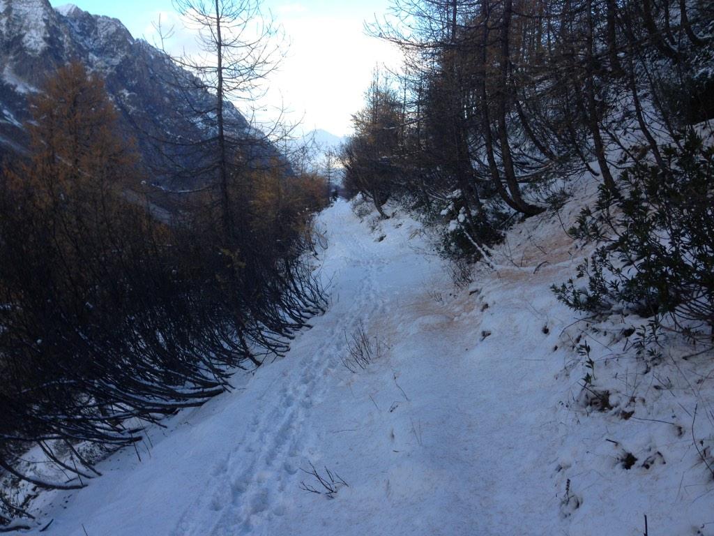 gio_macchia's tweet photo. L'ultima volta che ho fatto questo sentiero stavo andando verso il traguardo del #Tor14 e avevo più sonno... http://t.co/a7aFL2AHYt