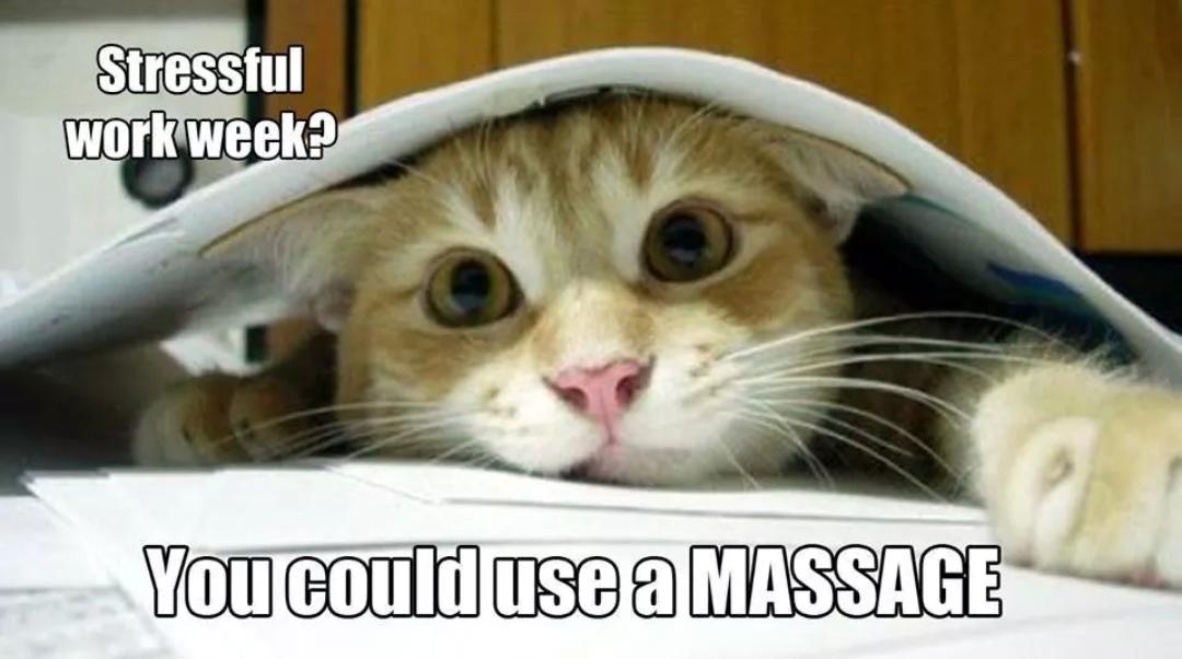 PDPPPLLC's tweet photo. Don't hide from your stress! Get a massage! Call today 407-968-4942! #WinterPark #Orlando #healthyliving #Massage http://t.co/22NiiBkwqB