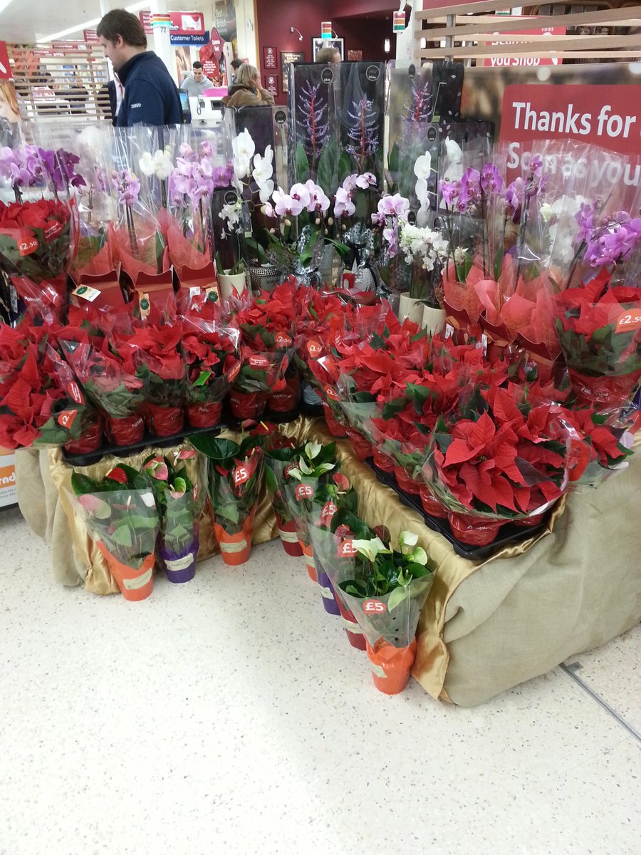 richard frost tweet media