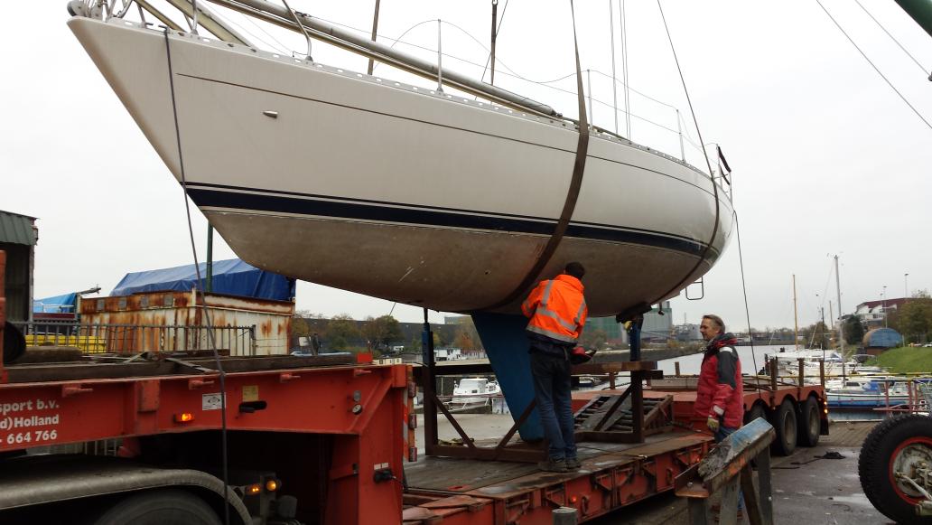 Ilona Bonnemaijers tweet media