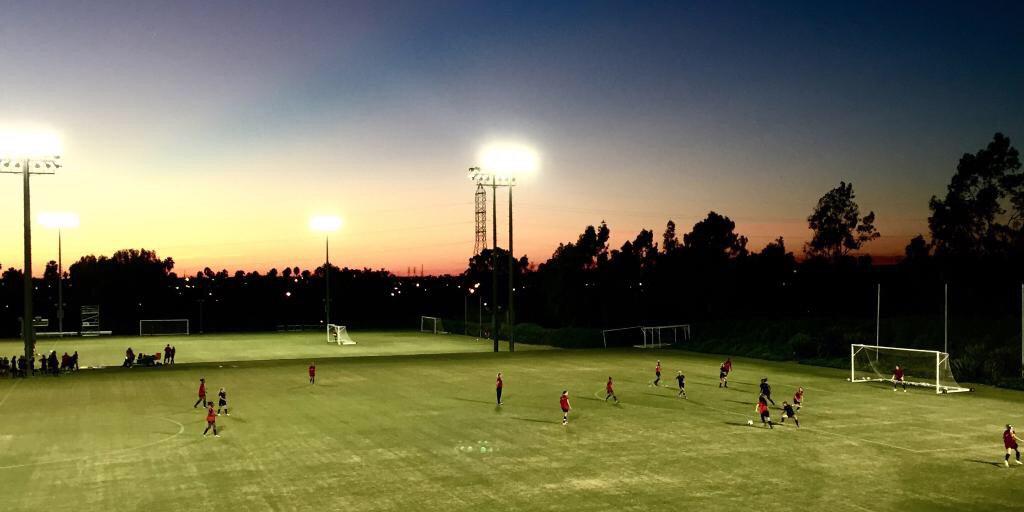 goproball's tweet image. 