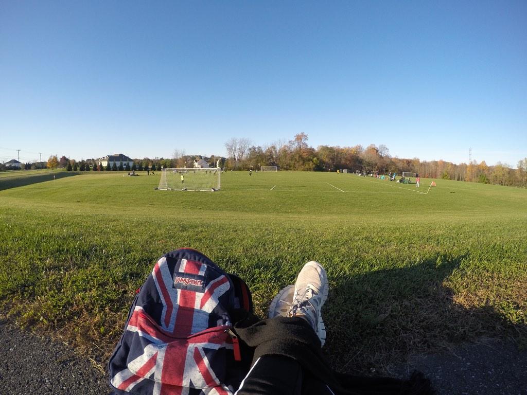 goproball's tweet image. 