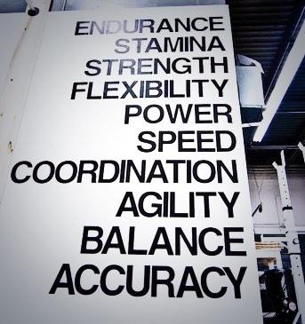 LiftingProject's tweet image. Components of fitness