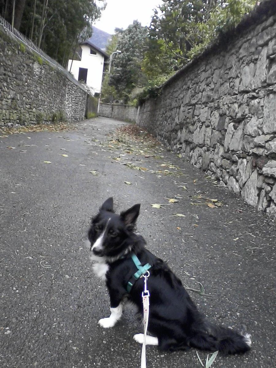 Ilashelly's tweet image. 