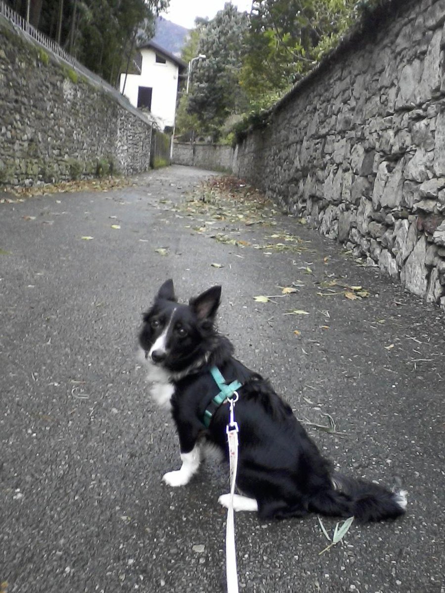 Ilashelly's tweet image. 