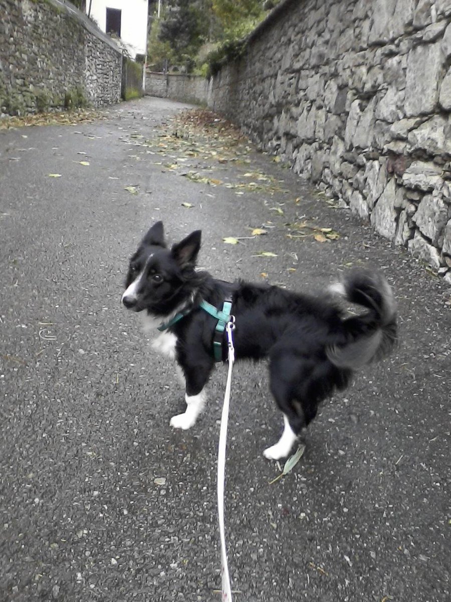 Ilashelly's tweet image. 