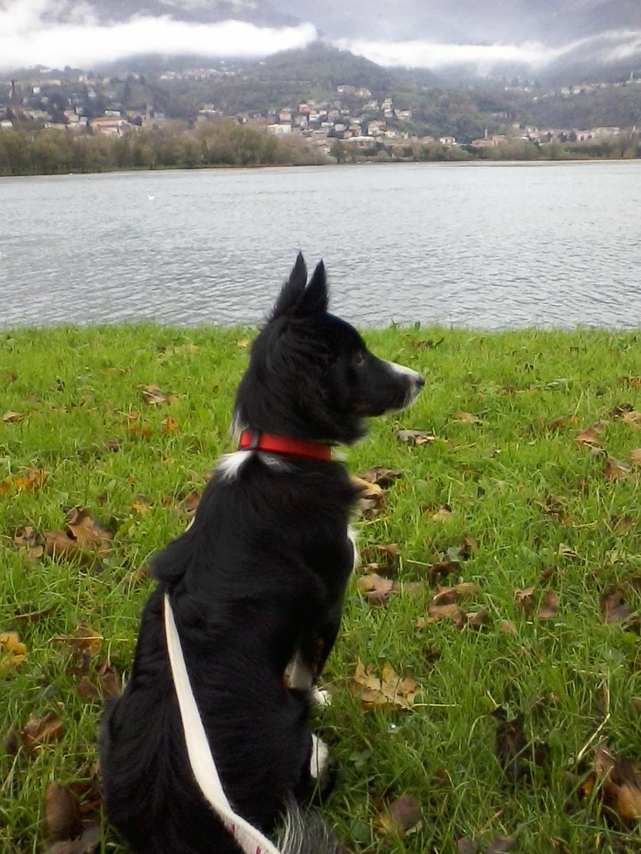 Ilashelly's tweet image. 