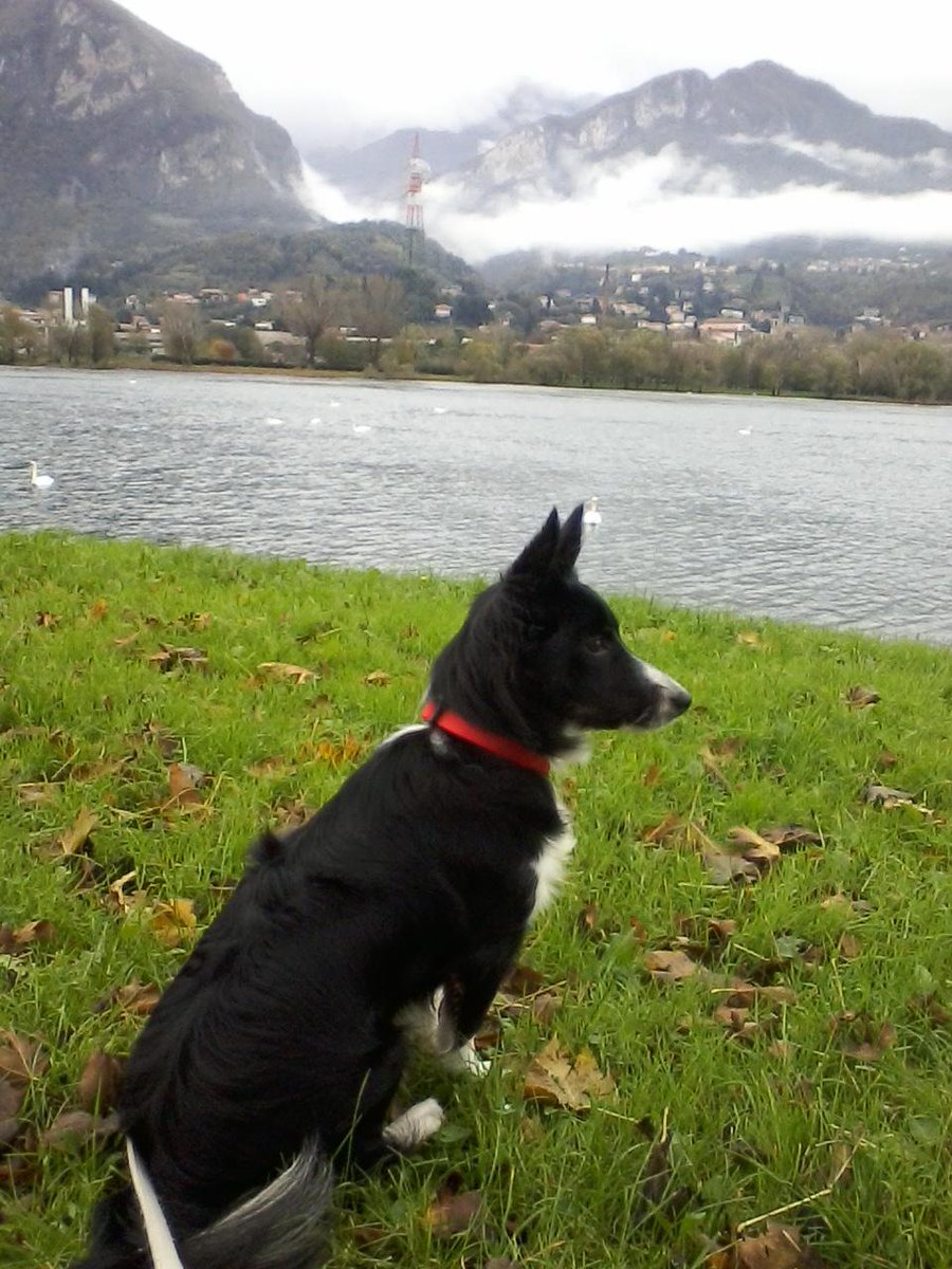 Ilashelly's tweet image. 