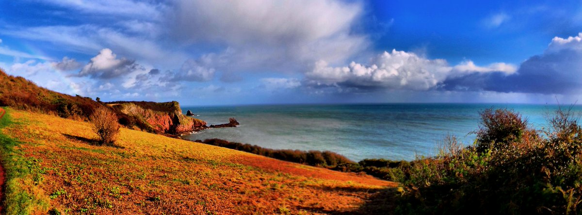 torbaydesign's tweet image. gone back to  old camera.
this photo taken today on brixham costal path
#torbayhour #devonhour #devonphotos #brixham