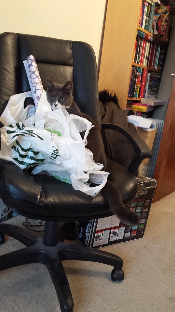 MasterMaximus's tweet photo. Today my pet bunny @Fairy_Cheryl  made it King Max day,  I've had lots of fun. http://t.co/i3x7pbLTXx