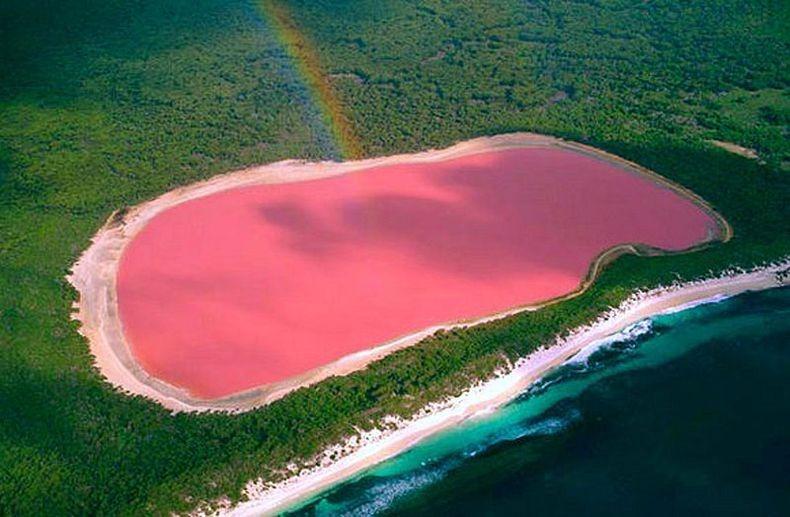 Sinsapiandy's tweet photo. #LakeHillier is bright pink bec. of the bacteria living there (#DunaliellaSalina and #Halobacteria) makes a pink hue. http://t.co/ZTtHklHAYS