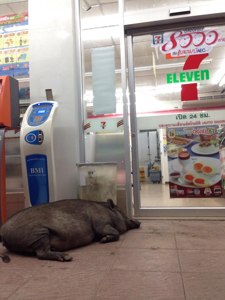 plajazz's tweet photo. 7-11 #ปตท สาขาแยกวรเชษฐ์ ไม่มีหมานอนหน้าร้านครับ @inattt @sakaruch @ipattt @ibankc @ichattt @queenpoupee http://t.co/O1y8ueusGg