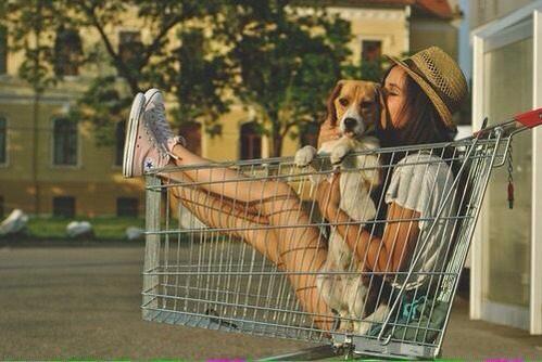 Average_Isnt_Me's tweet photo. Avi or Header! If you want it, save it. Be sure to let me know so I can delete it. #Puppy #Chick http://t.co/5d5OxpqetL