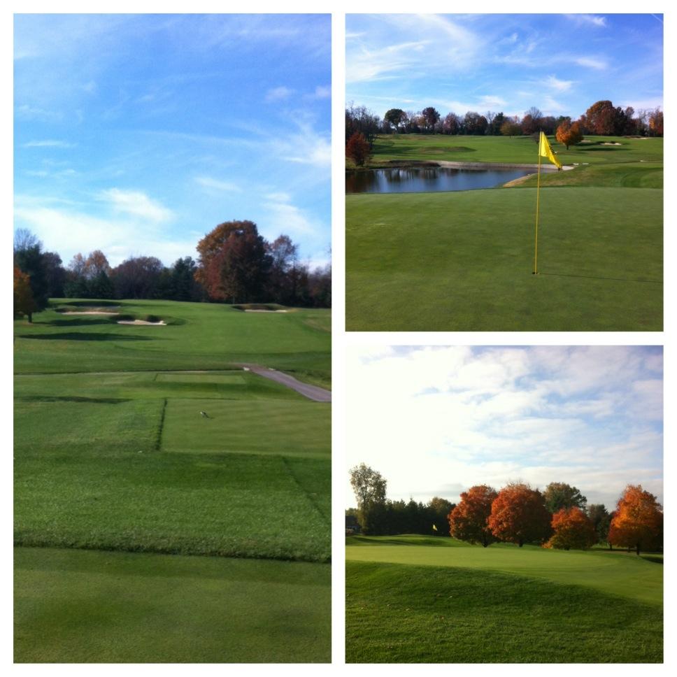 claystewart58's tweet photo. Lots of great fall color on display, next week may start to eliminate the green from palate #toocoldtooearly http://t.co/j7oTbxPWPf