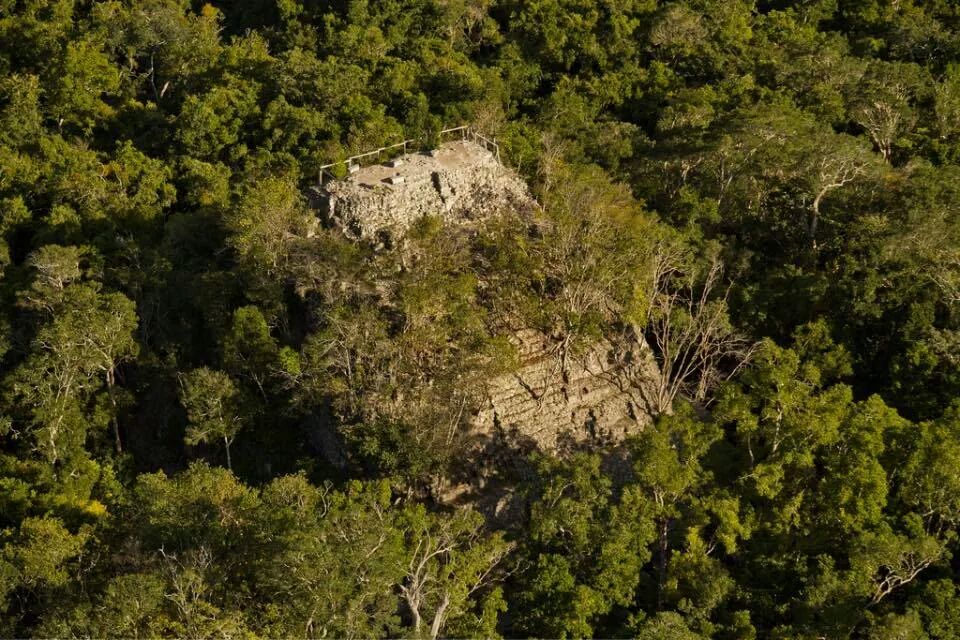 PetenerosGT's tweet photo. Pirámide La Danta, Ubicada en El Mirador, San Andrés, Petén. La pirámide más alta del Mundo (170.40). #Guatemala http://t.co/gXvwuny0Y5