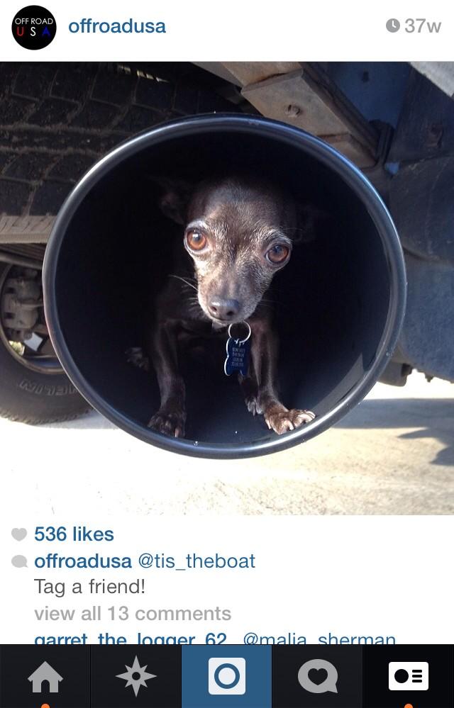 OffroadUSA's tweet photo. Follow us on IG for the best truck pictures! - offroadusa http://t.co/lG0iqfC9LQ